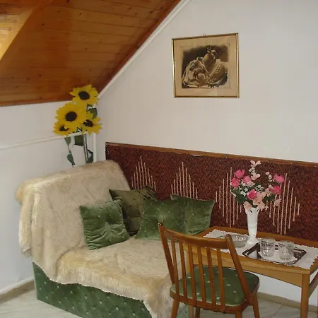 Rozsika Vendeghaz 公寓
